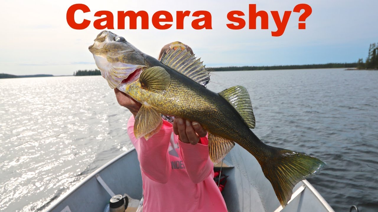September On Smoothrock - Remote Fishing In The Heart Of Wabakimi