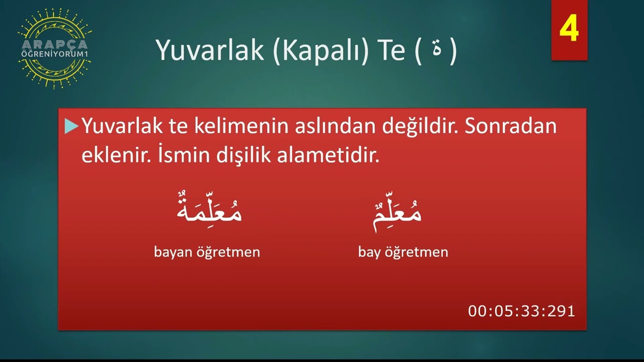 MÜENNESLİK ALAMETLERİ NELERDİR | Kuran Arapçası #kuranarapçası #arapçaöğreniyorum