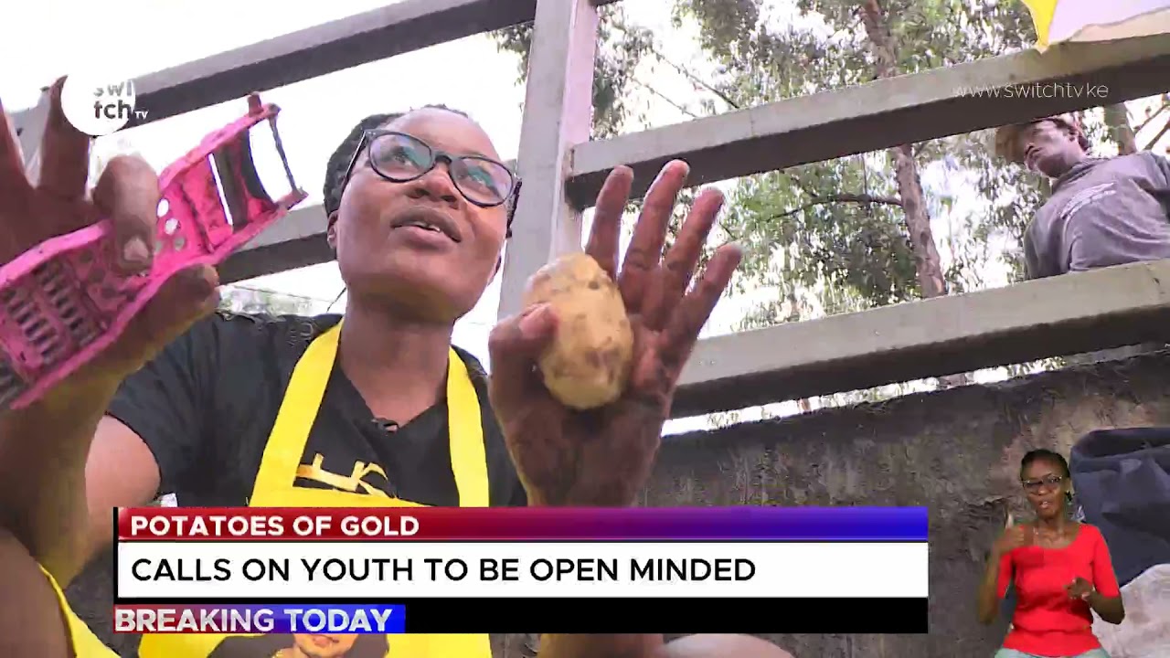 POTATOES OF GOLD - ''I started my business with Ksh.1,200 now I make a Ksh.4000 profit everyday.''