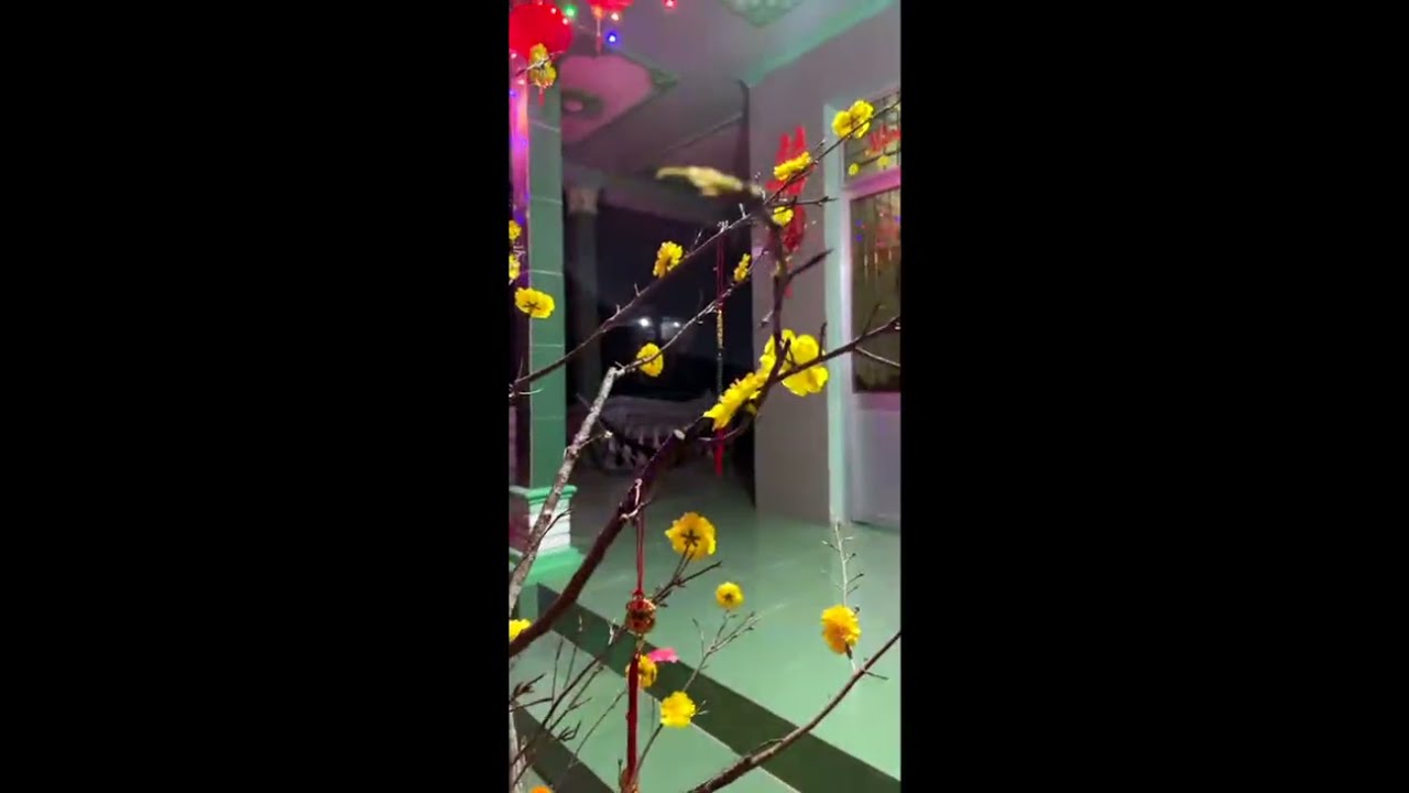Kim Đường Đoàn đang phát trực tiếp!