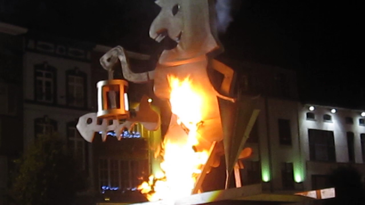Aalst Carnaval 2016 - Popverbranding