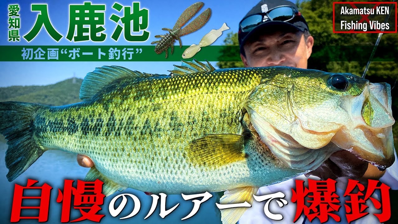 【爆釣 初企画】赤松健 × レンタルボート in 入鹿池【バス釣り】