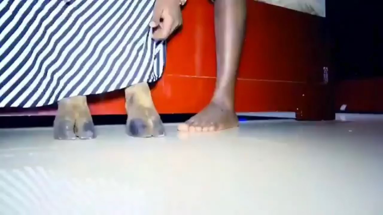 Gade sak rive yon nèg nan poz galan li jwenn yon fanm nan lari epi fanm nan tounen yon milèt