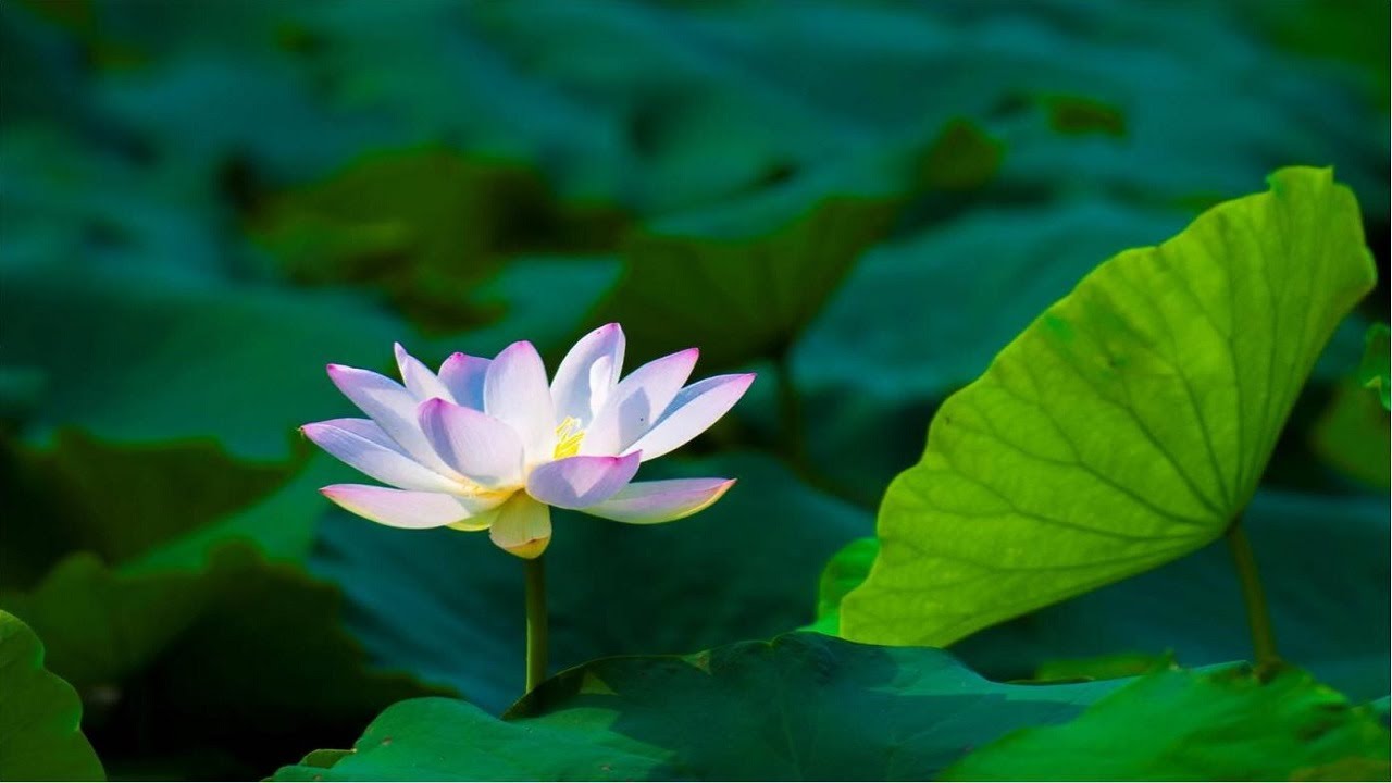 【摄影教学】摄影测光怎么玩？职业摄影师揭秘这些小动作，绝对出乎你的意料｜老六摄影