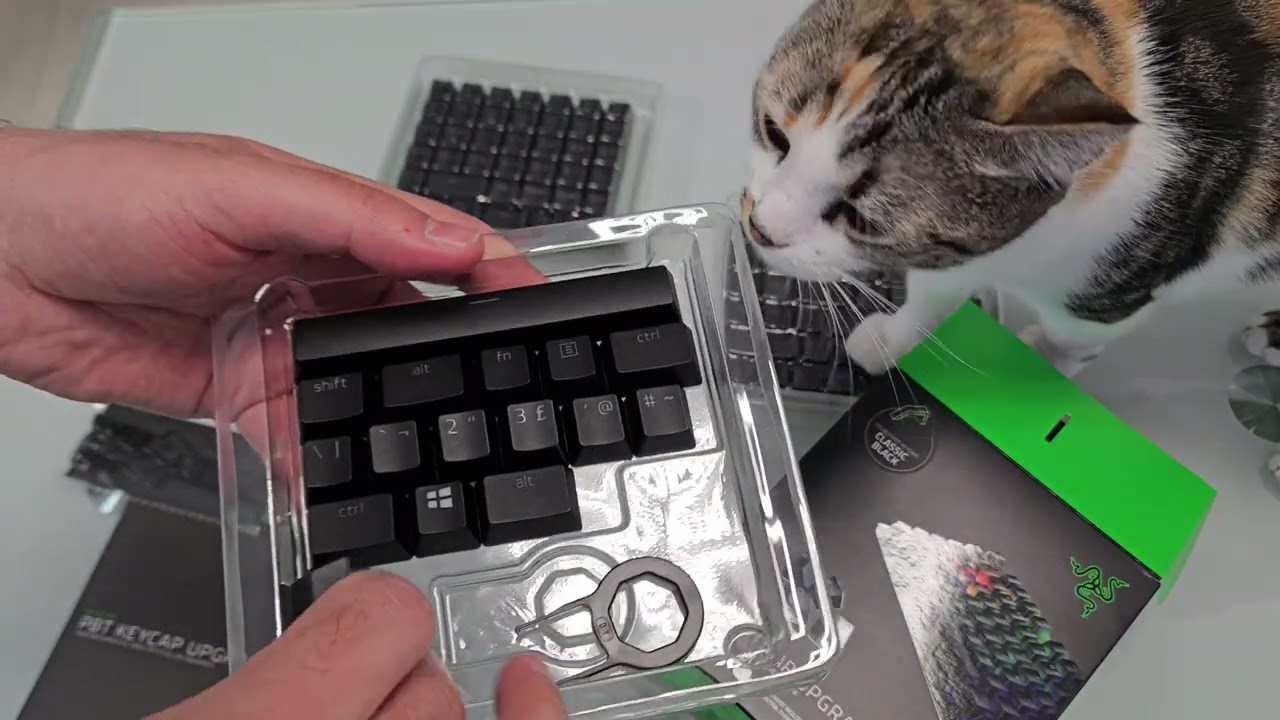 Razer PBT keycaps upgrade - unboxing, mounting and sound test