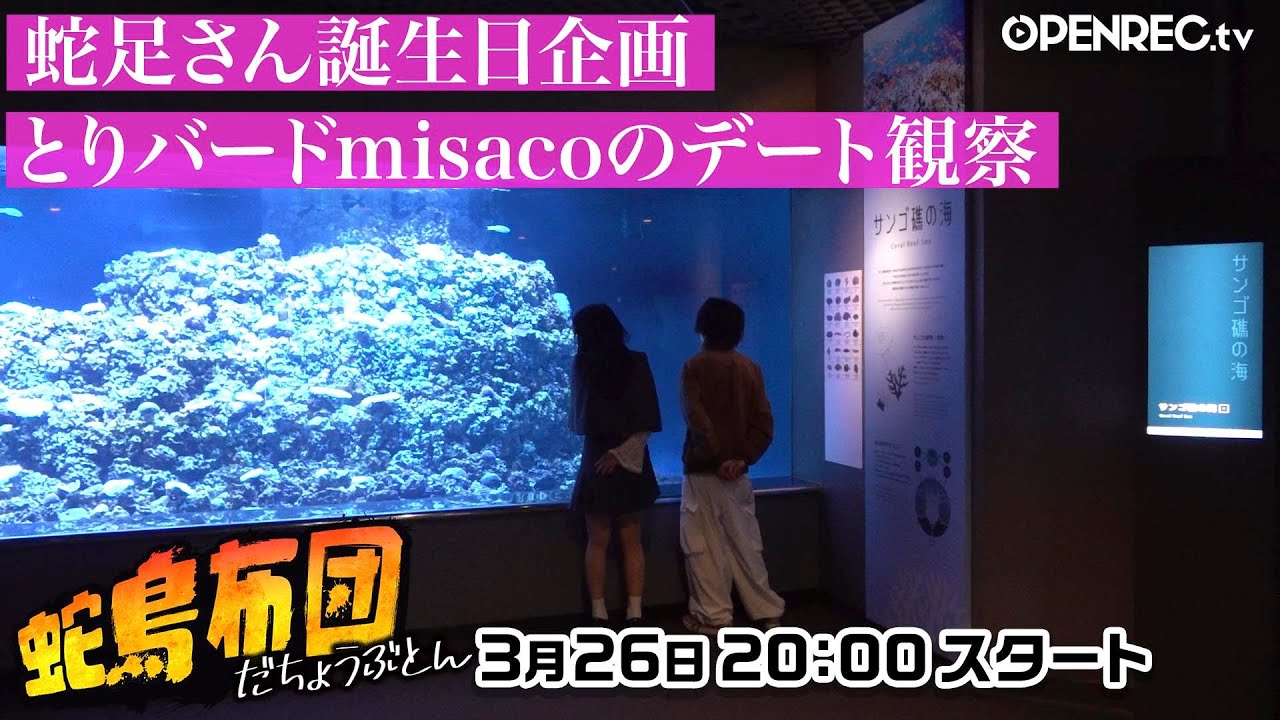 蛇鳥布団~蛇足さん誕生日企画！とりバード×misacoデート観察~#45