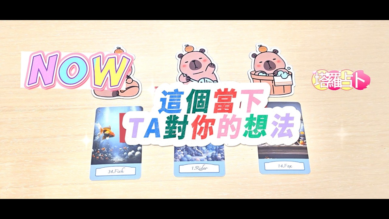 🌹靜待信號♥️塔羅占卜：很最近TA對你的感覺，有打算嗎？（看到影片的當下)