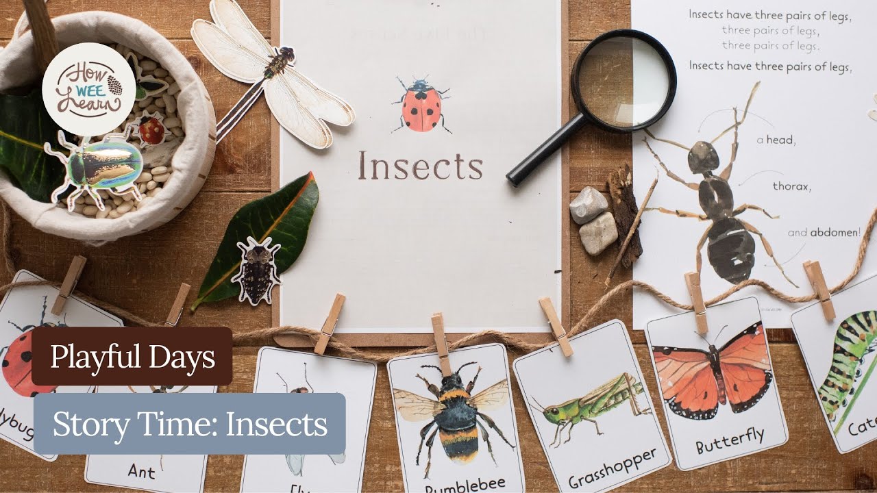 Playful Days Story Time: Insects