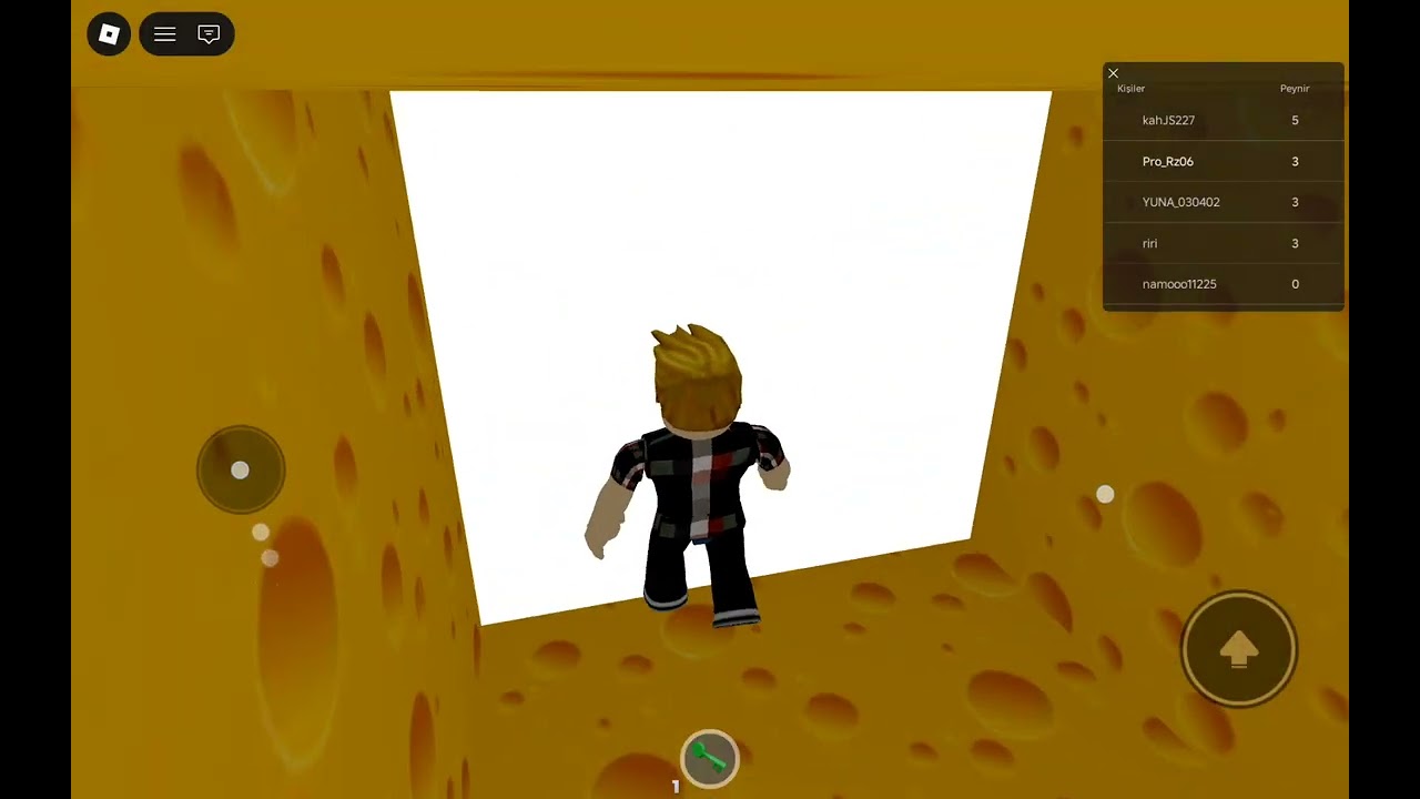 Roblox 1 yaptım bu da 2