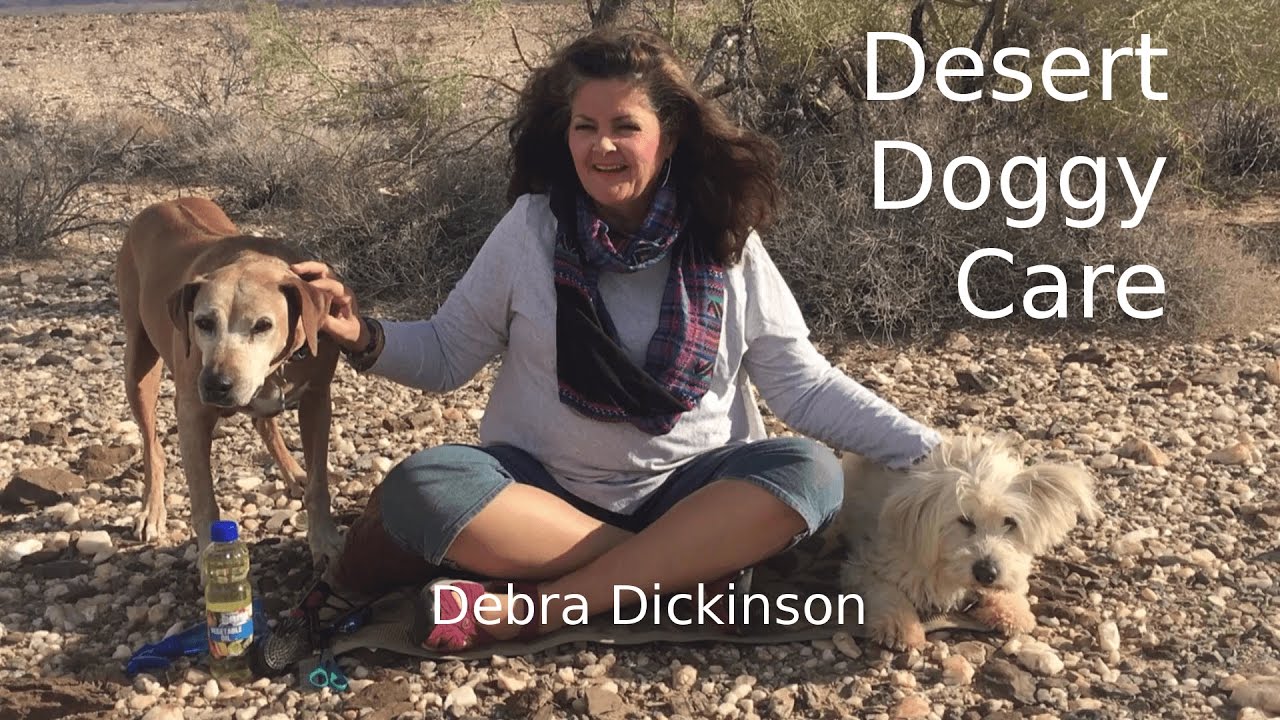 Desert Doggy Care-Tips & Tricks for Furry Family Health & Well-Being