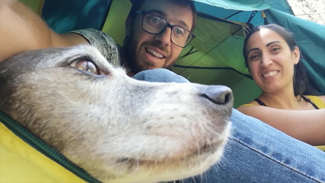 Ferragosto 2019 - In TENDA col CANE sul monte Cammarata | Riprese AEREE dell'ALBA