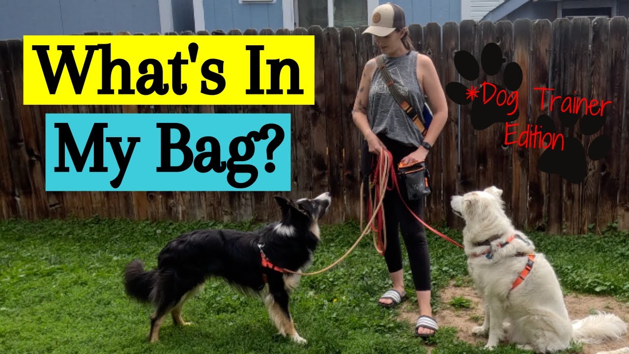 What's In My Bag? Dog Trainer Edition