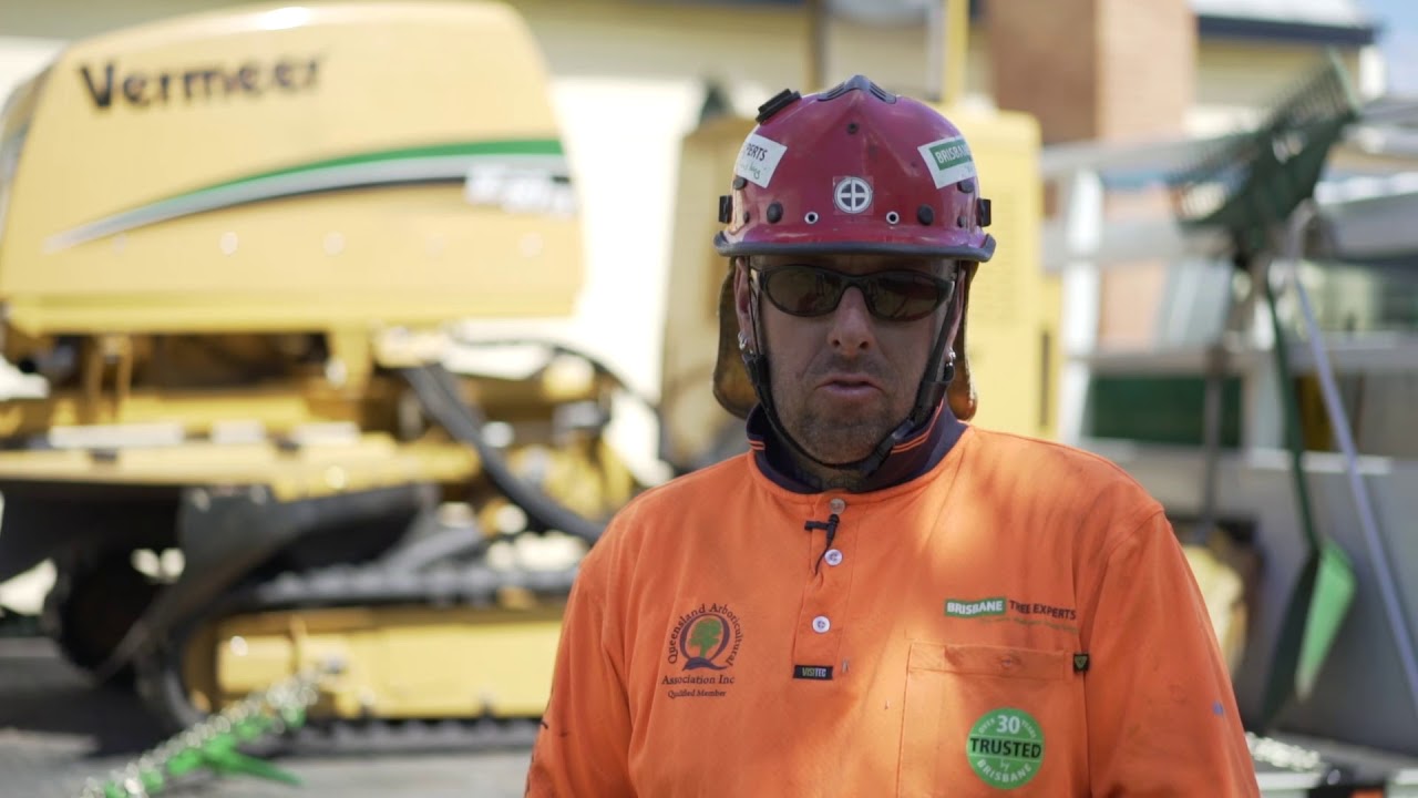 Brisbane Tree Experts - Stump Grinding Services in Brisbane