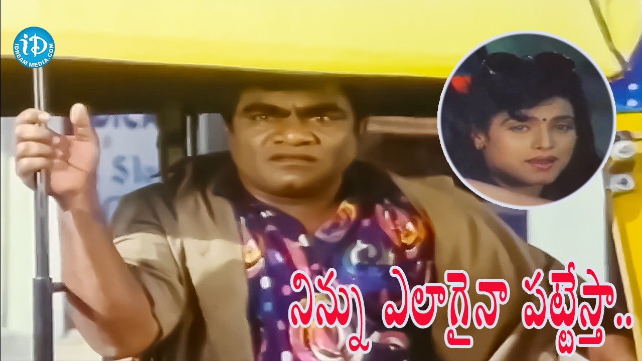 నిన్ను ఎలాగైనా పట్టేస్తా.. | Comedian Babu Mohan Hilarious Comedy Scenes |   @iDreamVibes ​
