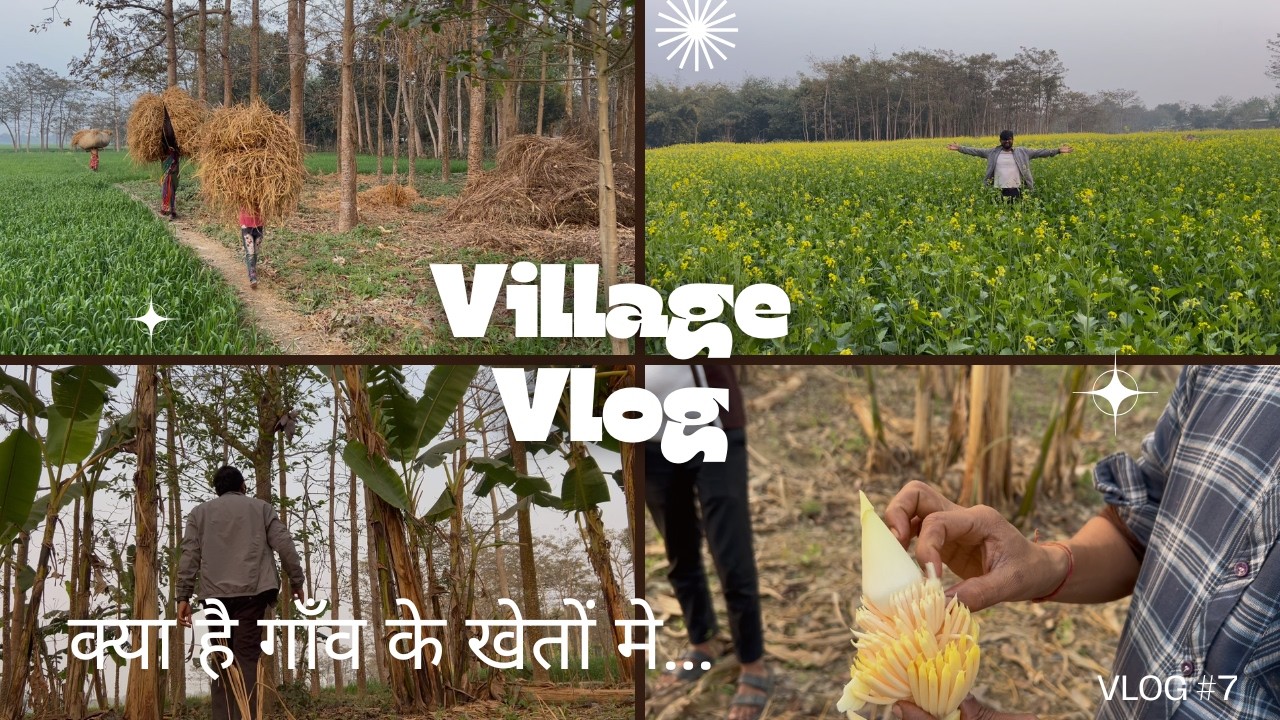 क्या है गाँव के खेतों मे ..