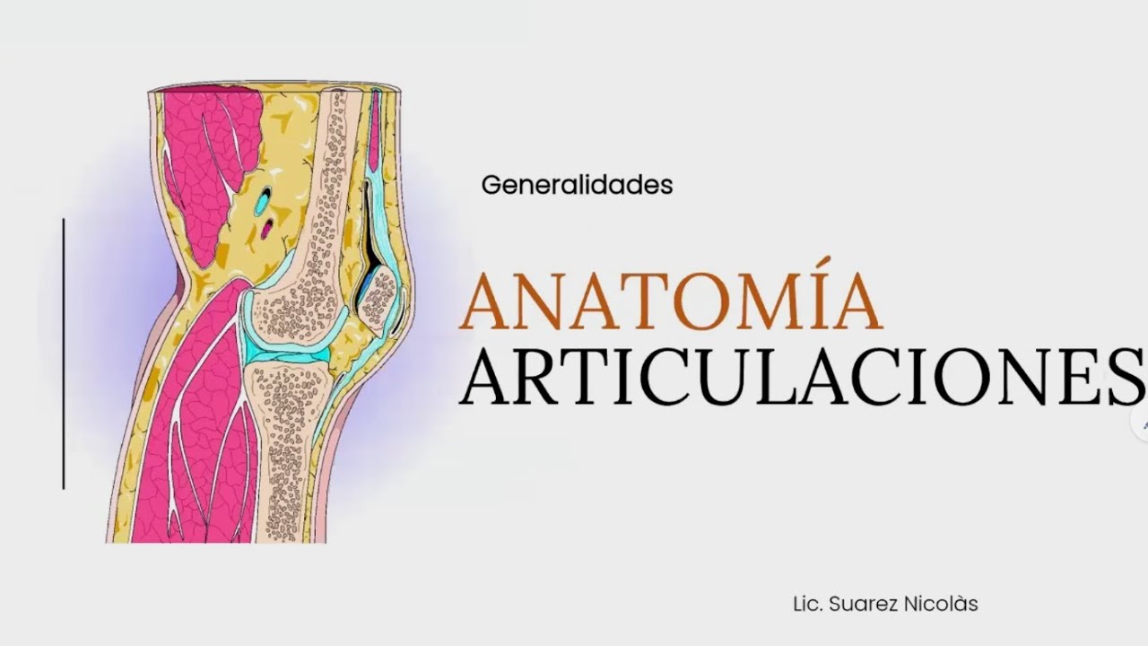Anatomia Generalidades- Articulaciones