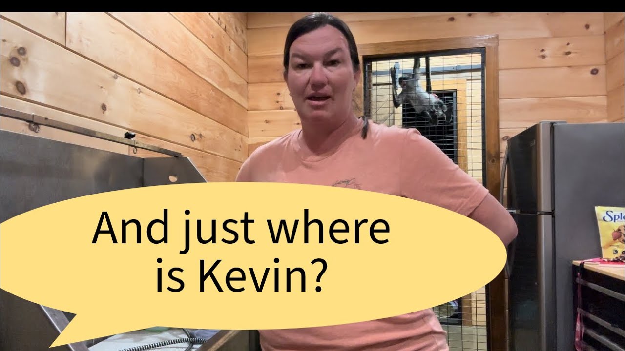 And y’all say Kevin needs a raise 🤣 #monkeys #animals #pets