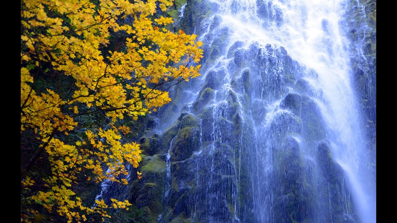 Proxy Fall JCT22 - Oregon Oct 13 2013 1080p HD