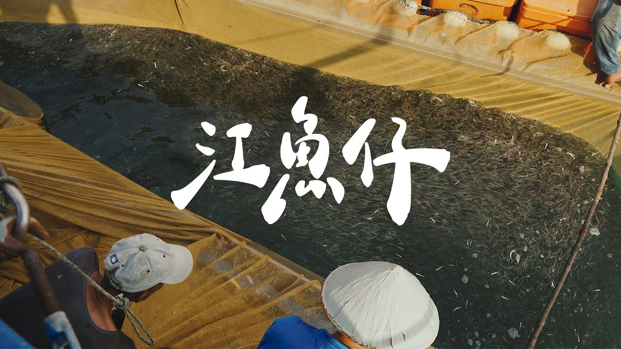 【REJI Documentary 日记纪录片】 属于马来西亚东海岸的晒鱼日子 | 江鱼仔 Ikan Bilis Factory in Kemaman, Kuala Terengganu