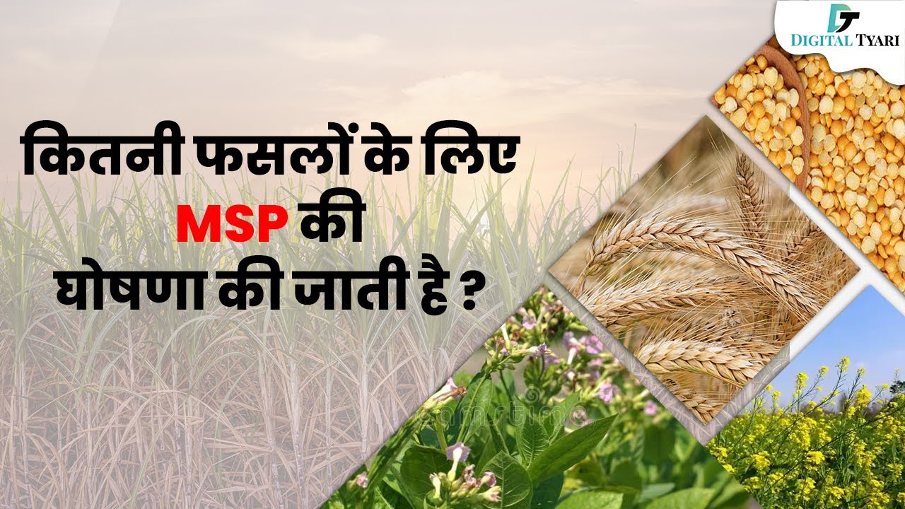 MSP is Announced For How Many Crops ? | MSP Related Important Question
