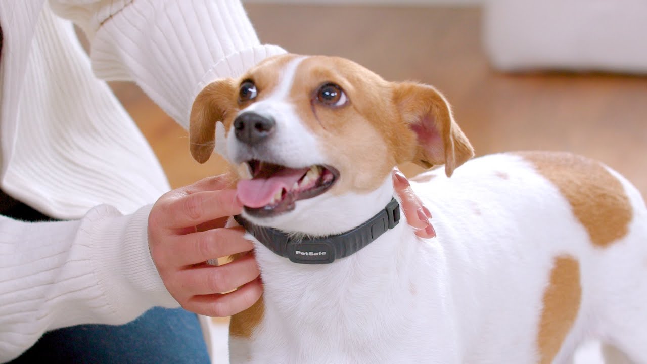NanoBark&trade; Collar -  Features & Benefits