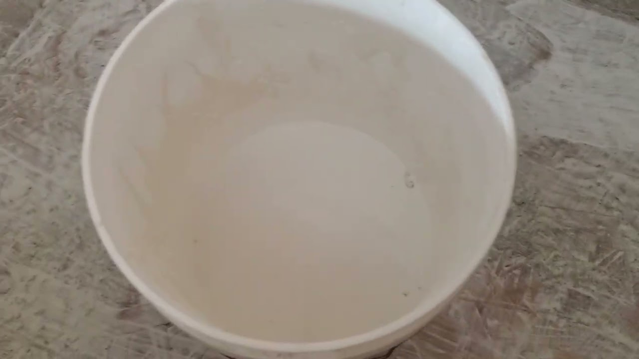 White Washing a brooder