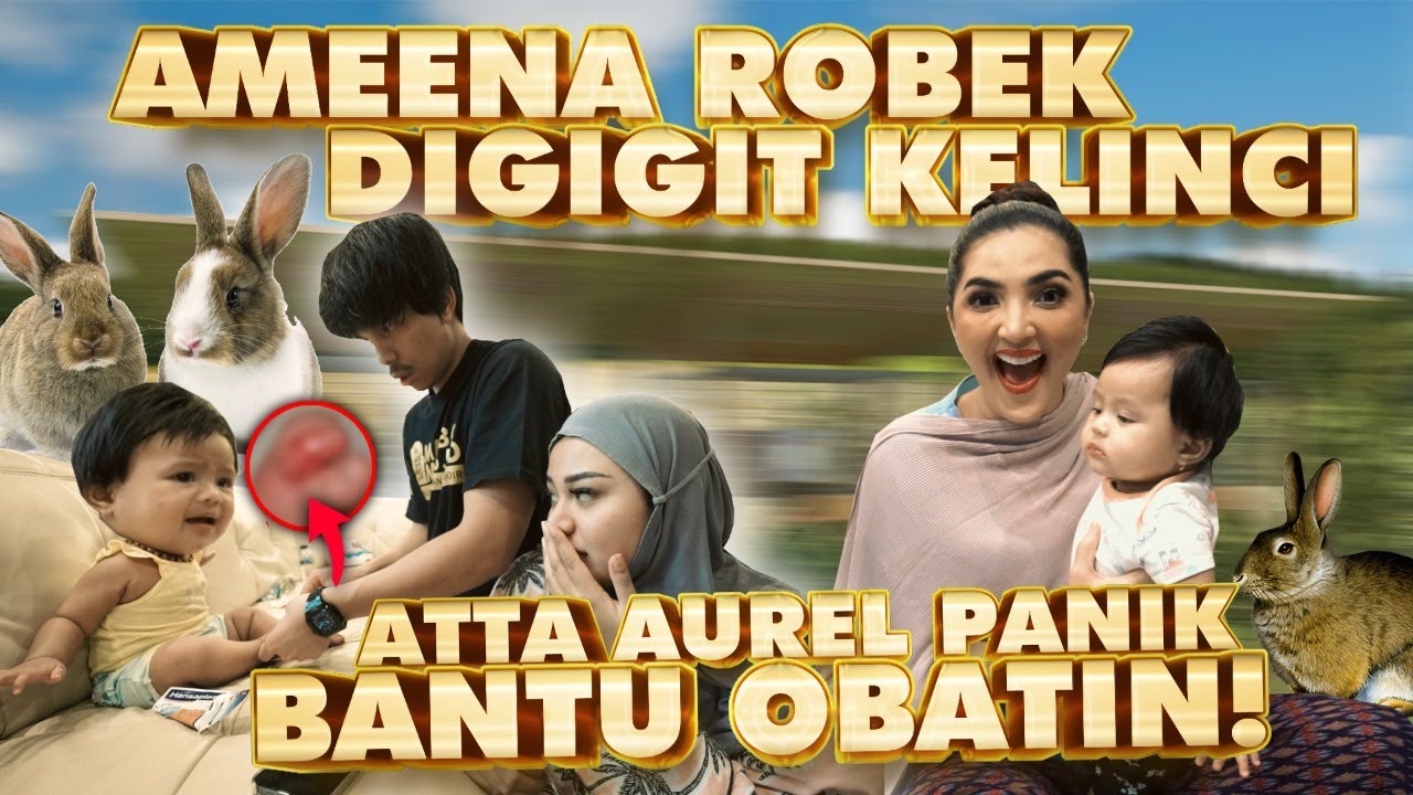 AMEENA ROBEK DIGIGIT KELINCI ATTA AUREL PANIK BANTU OBATIN!
