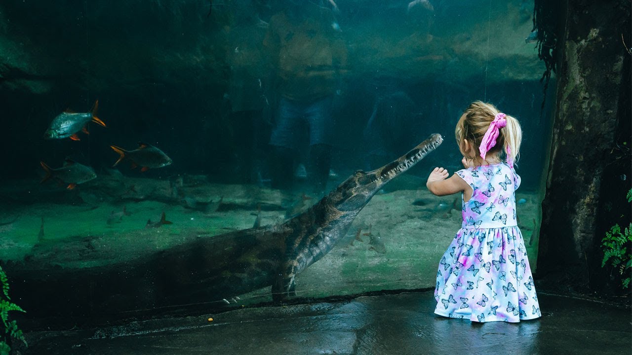 The Science of Animal Care - The Swamp Forest