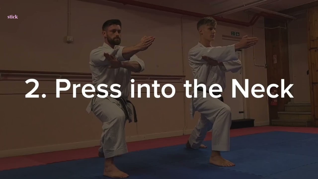 Karate Kata application - Heian Pinan Nidan Kanku Dai_R