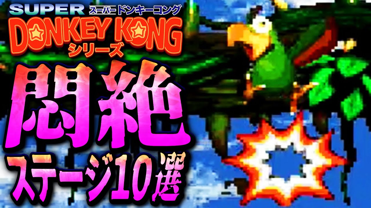 【スーパードンキーコングシリーズ】 小学生には酷な激ムズ鬼畜ステージ10選【DonkeyKongCountry】