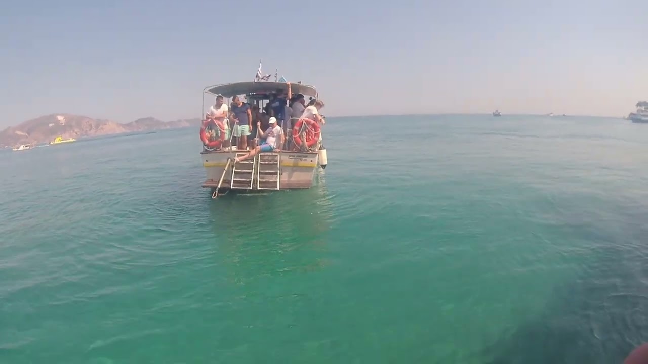 Żółwie Caretta Caretta na Zakynthos ! Rejs na żółwie