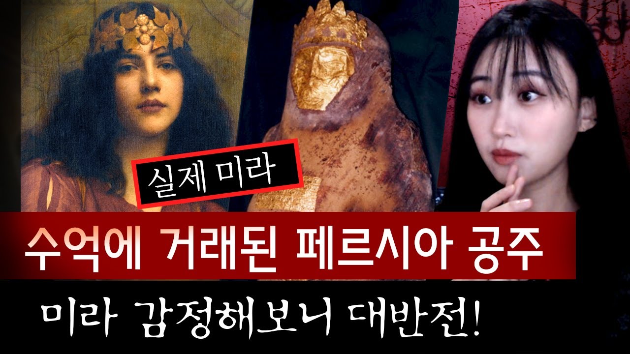 공주 미라인줄 알고 샀는데..살인사건 시신이 들어있다고? 당신 누구야? | 토요미스테리 #디바달리아