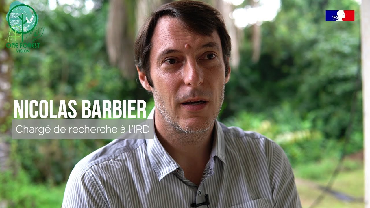 One Forest Vision Gabon - Nicolas BARBIER - chargé de recherche IRD