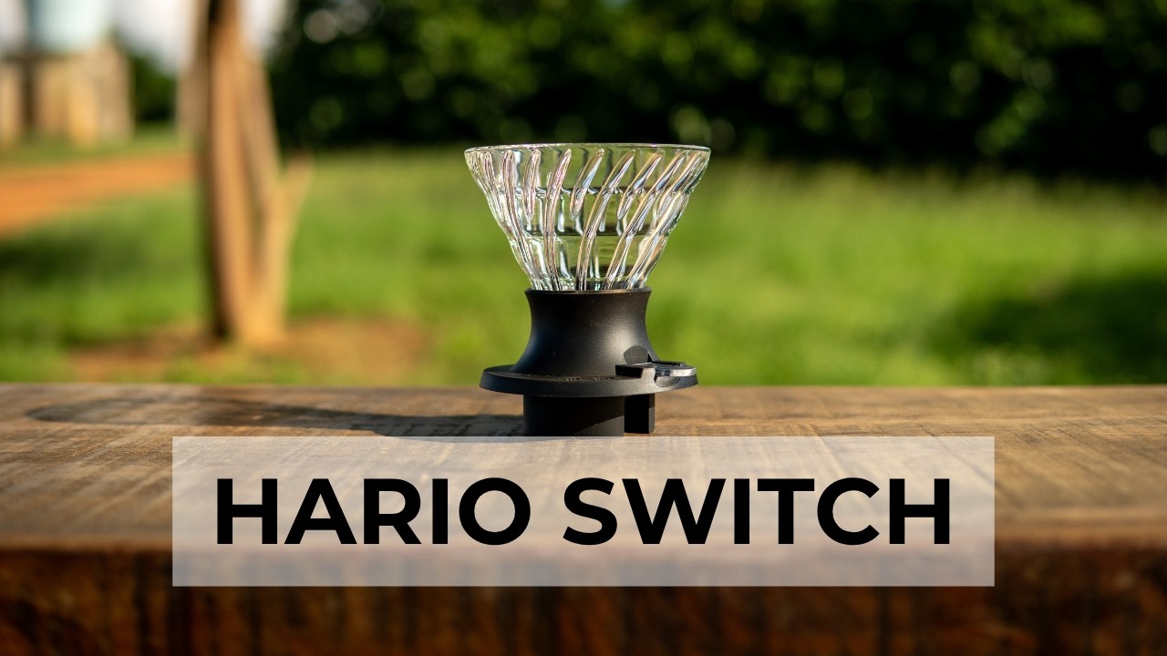 Hario Switch: percolação e infusão num só método | Review | Terra Cruz cafés