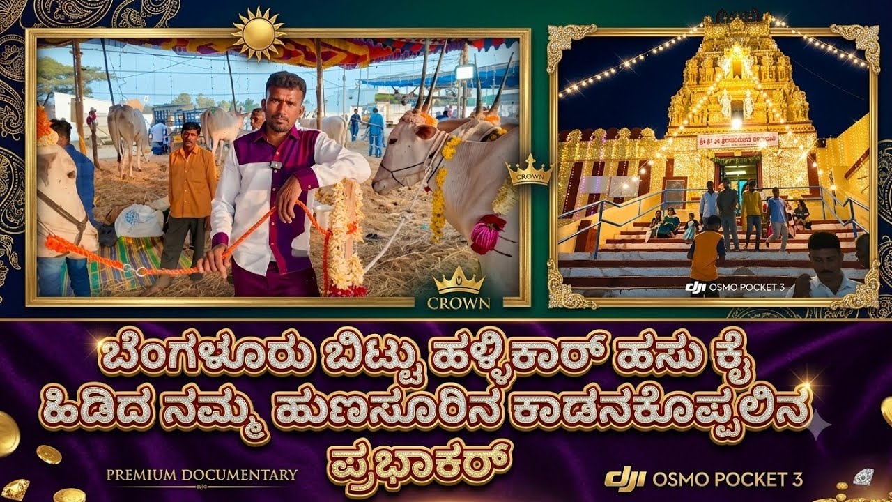 ಬೆಂಗಳೂರು ಬಿಟ್ಟು ಹಳ್ಳಿಕಾರ್ ಕೈ ಹಿಡಿದ ಹುಣಸೂರಿನ ಕಾಡನಕೊಪ್ಪಲು ಪ್ರಭಾಕರ್ ರವರು #hunasuru #cow #hallikarcows 