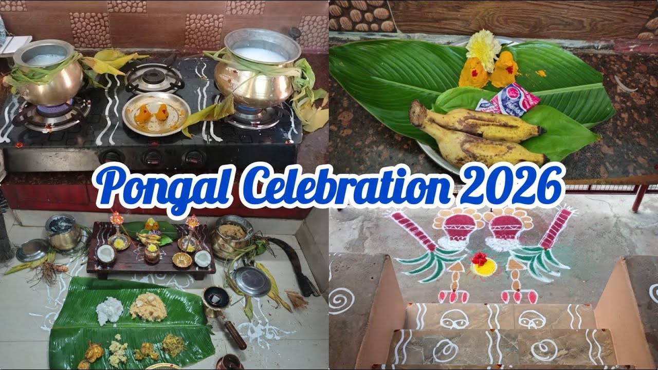 Pongal Celebration 2026,#pongal ,#pongal festival,#sankaranti ,#pongalcelebration ,#pongalvibes 