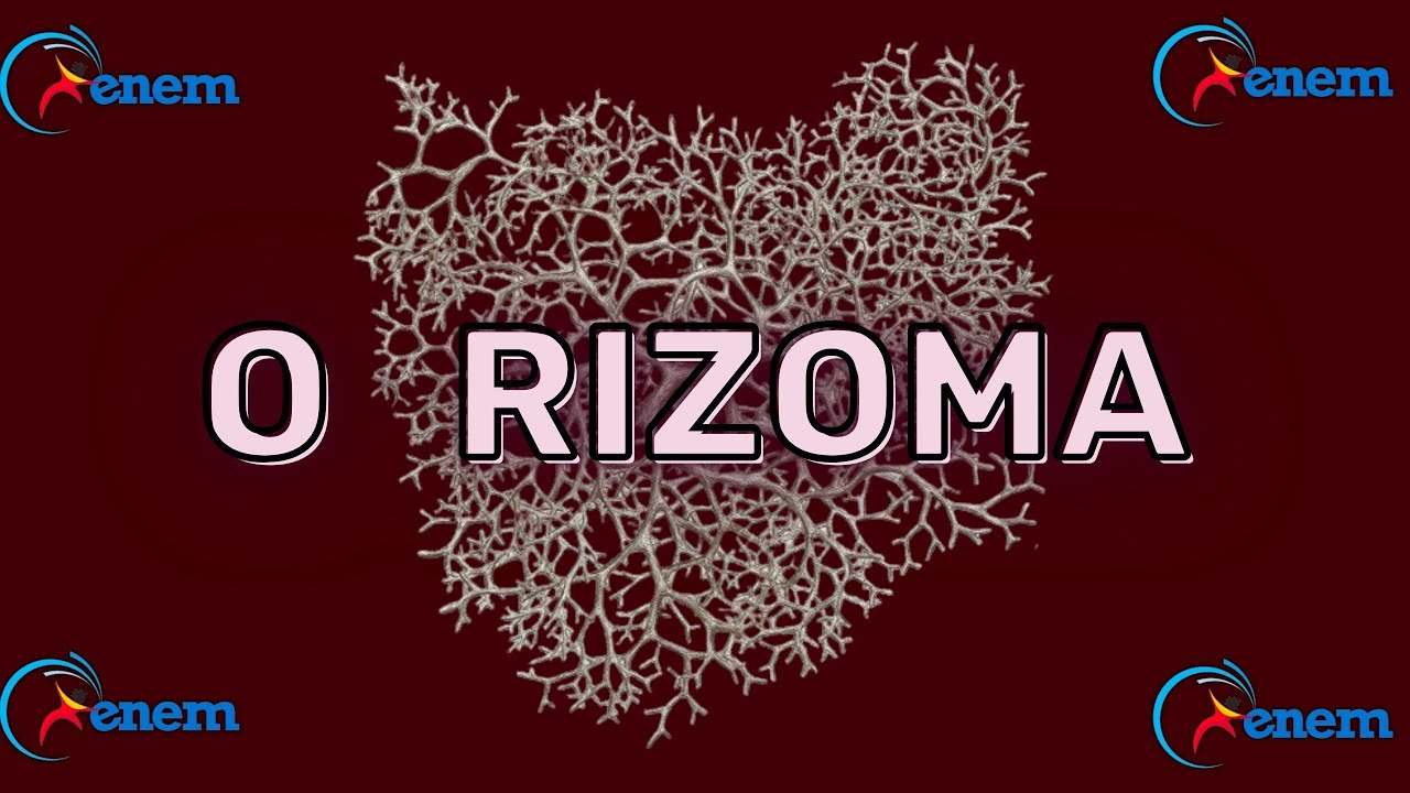 O rizoma no ENEM: Destrave sua filosofia (questão comentada)