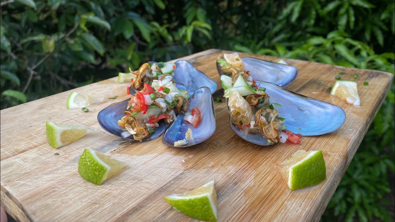 Foraging for Mussels aka Mook in Trinidad🇹🇹‼️❤️‍🔥Catch, Clean and Cook🇹🇹‼️