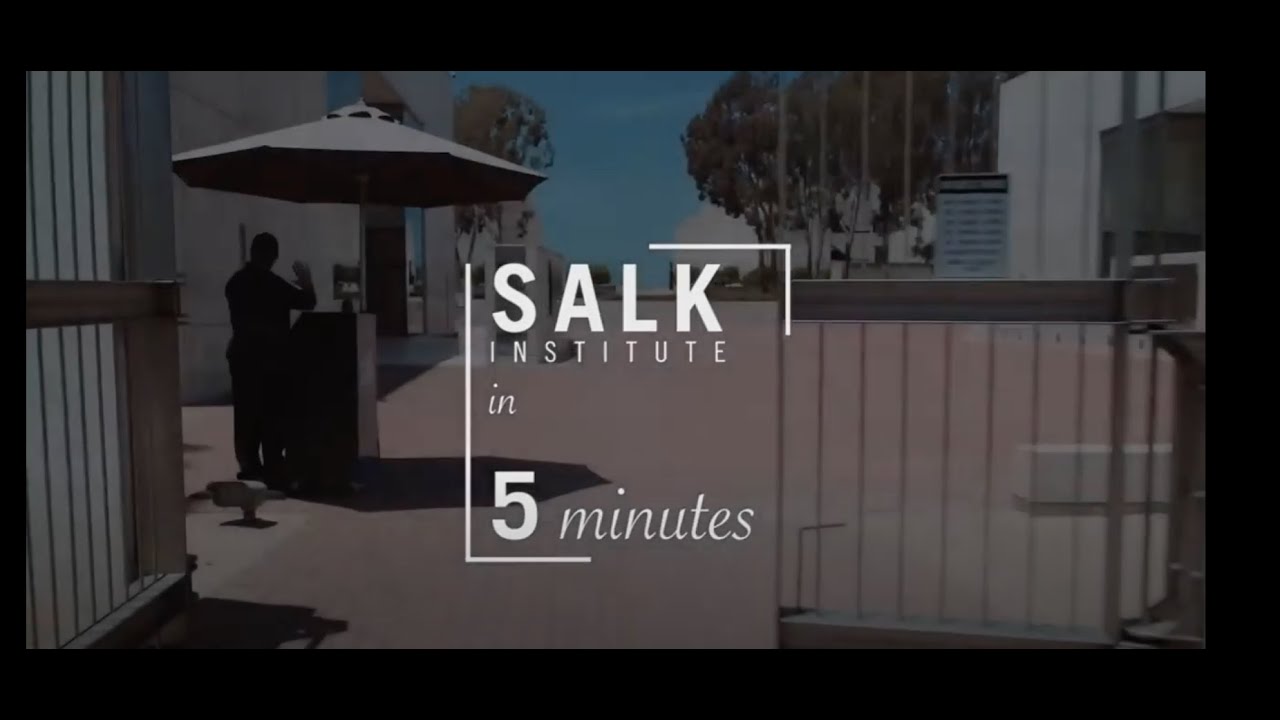 View the Salk Campus