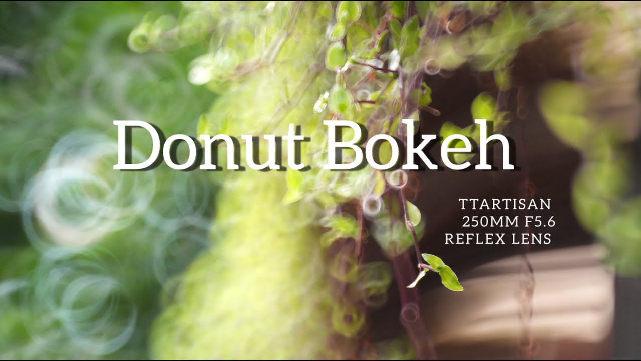 Weird Donut Bokeh:  TTAritsan 250mm f5.6 Reflex Lens