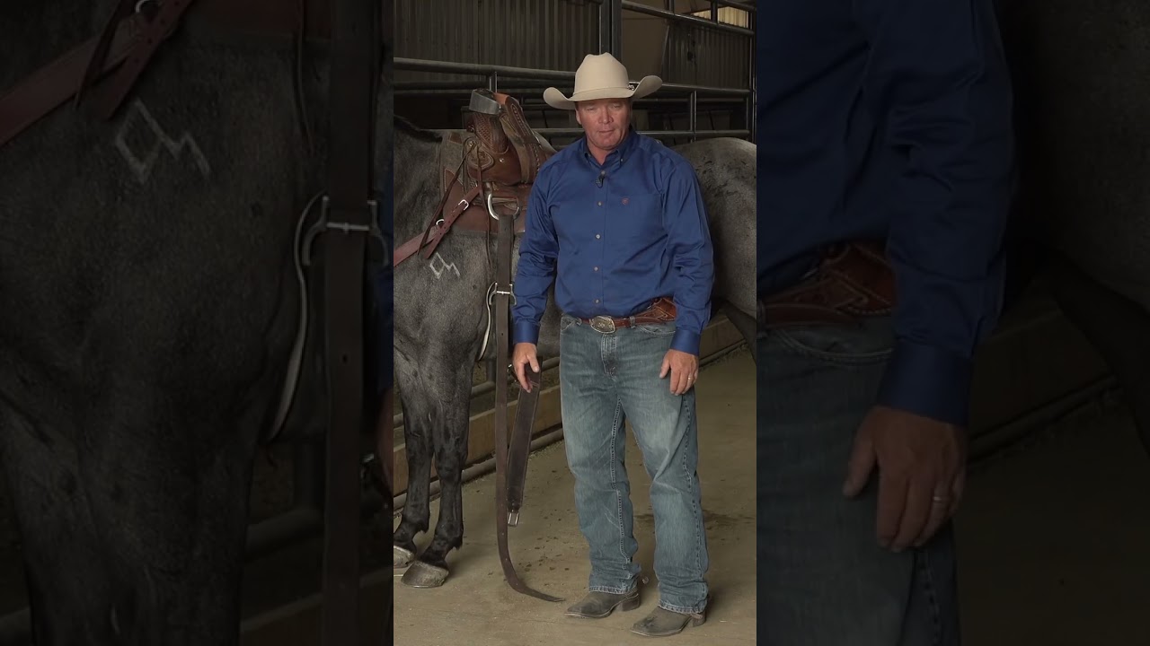 Saddle Placement with Ken McNabb
