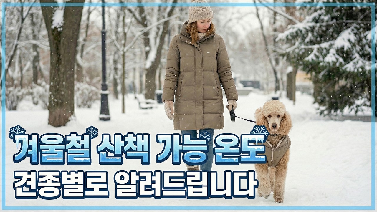 우리 아이는 몇 도까지 괜찮을까? 견종별 겨울 산책 가이드