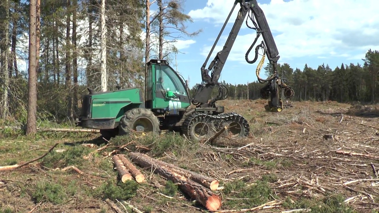 Timberjack harvester in a forest on Gotland in June 2017