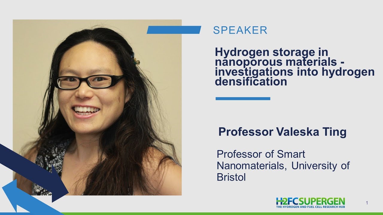 Hydrogen storage in nanoporous materials &ndash; investigations into hydrogen densification