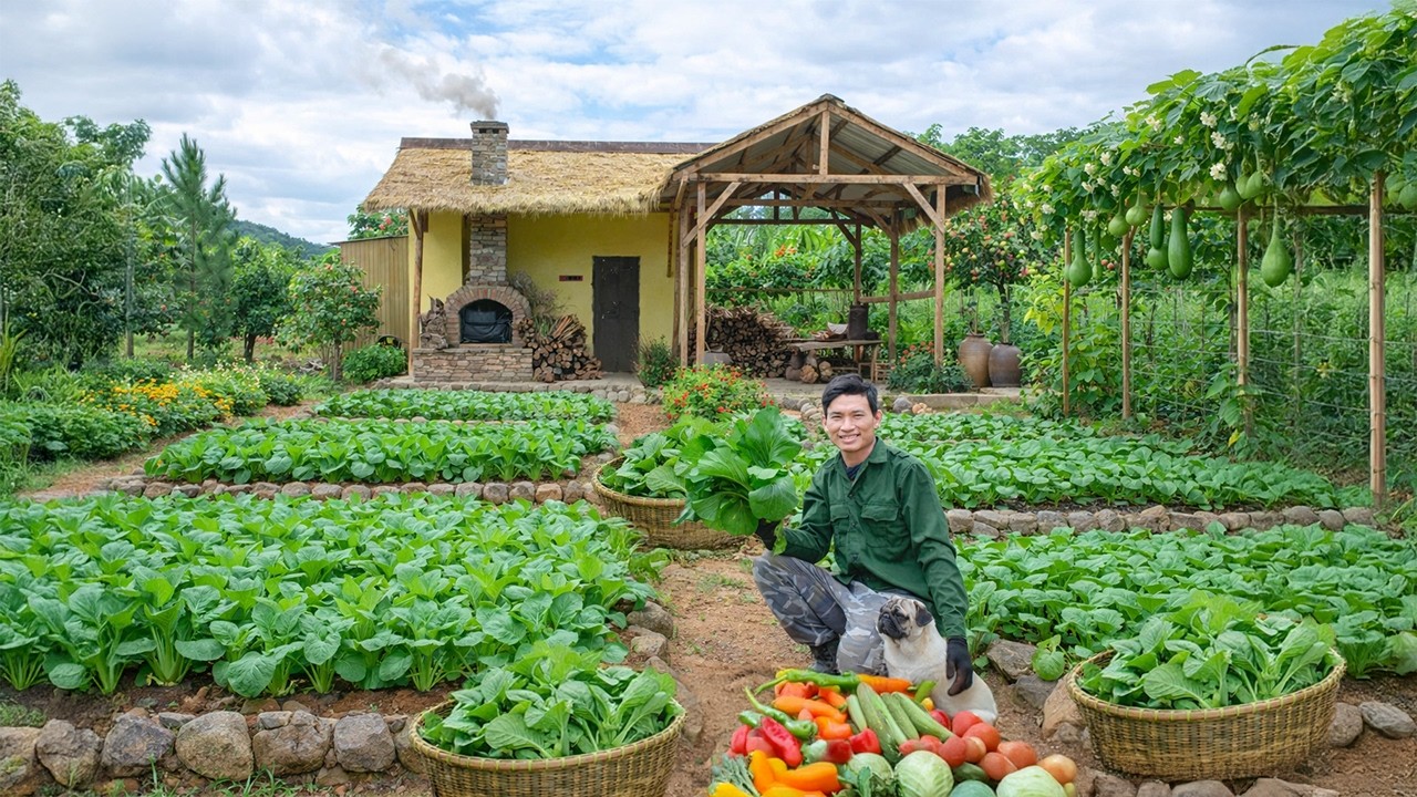 Officer Leaves City for Countryside | Renovates House - Grow & Harvest Vegetable To Sell & Cook