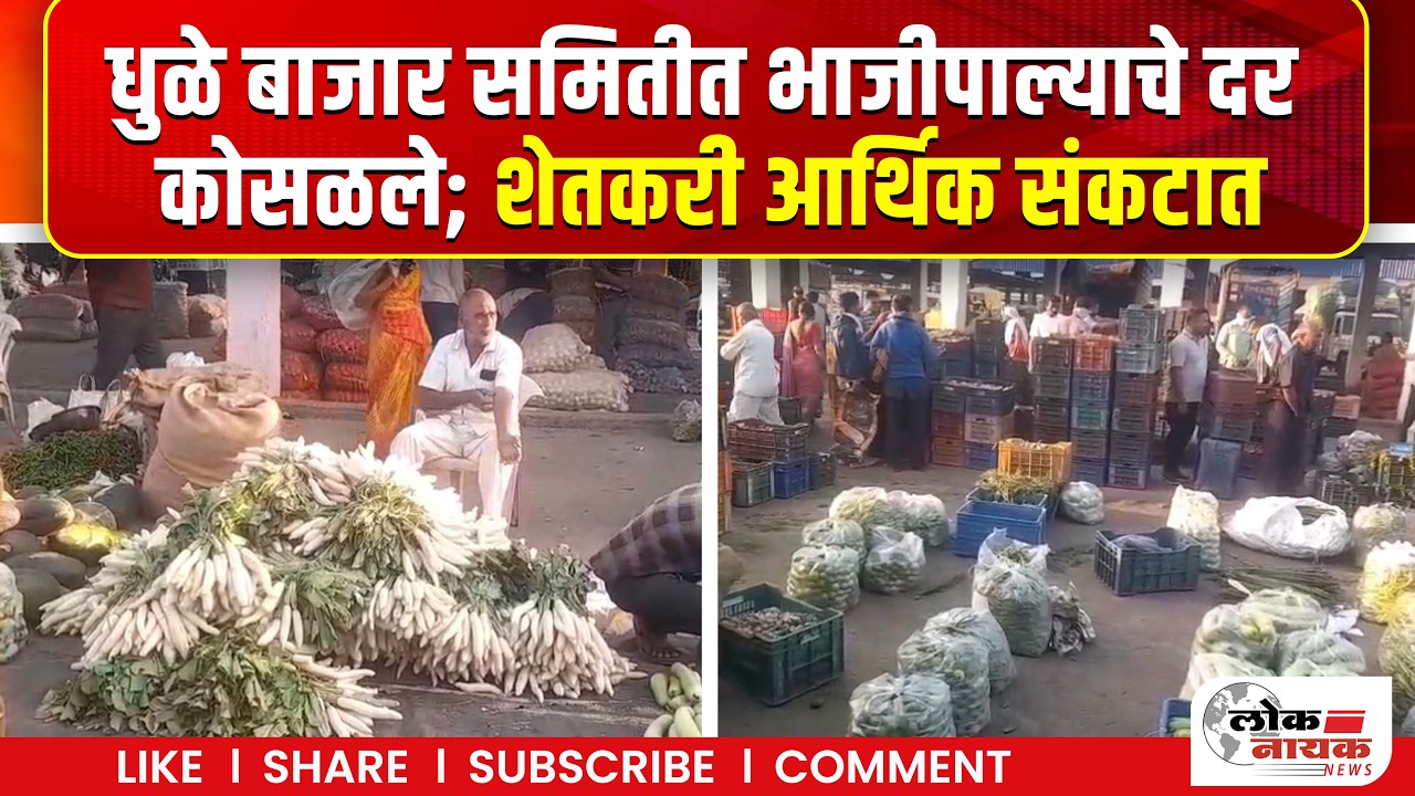 धुळे बाजार समितीत भाजीपाल्याचे दर कोसळले; शेतकरी आर्थिक संकटात