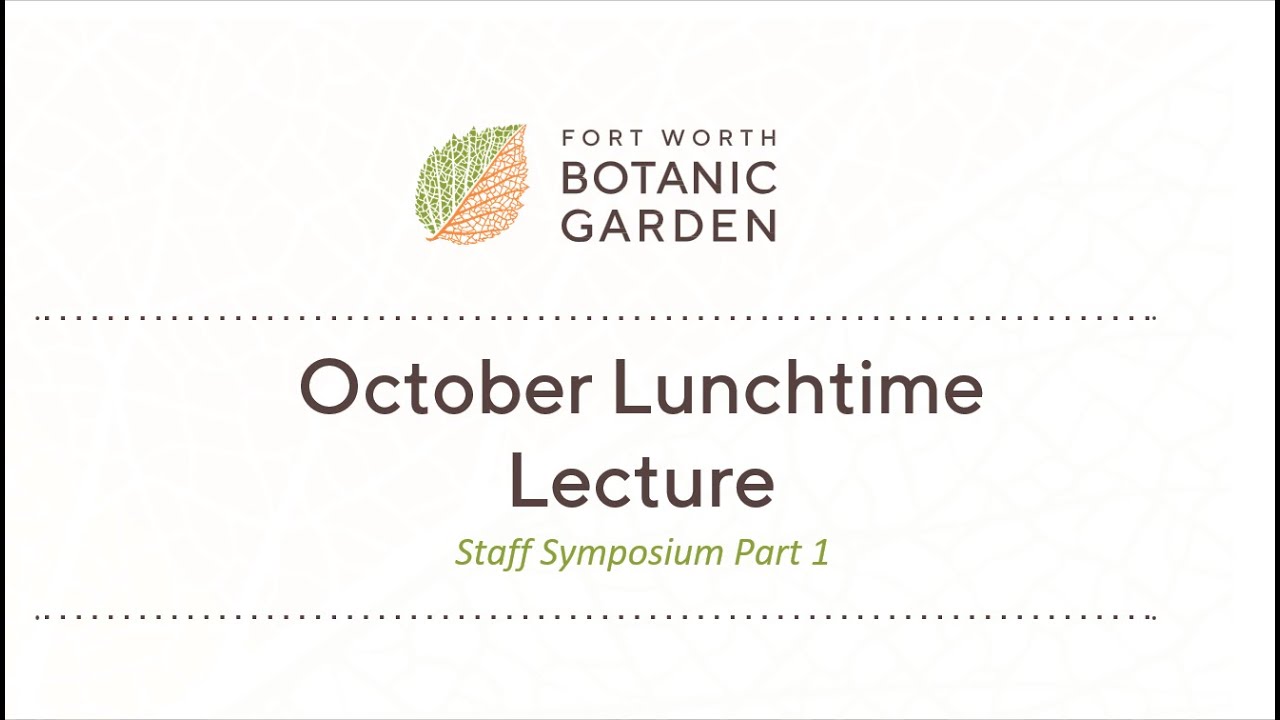 Lunchtime Lecture: Staff Symposium Part 1