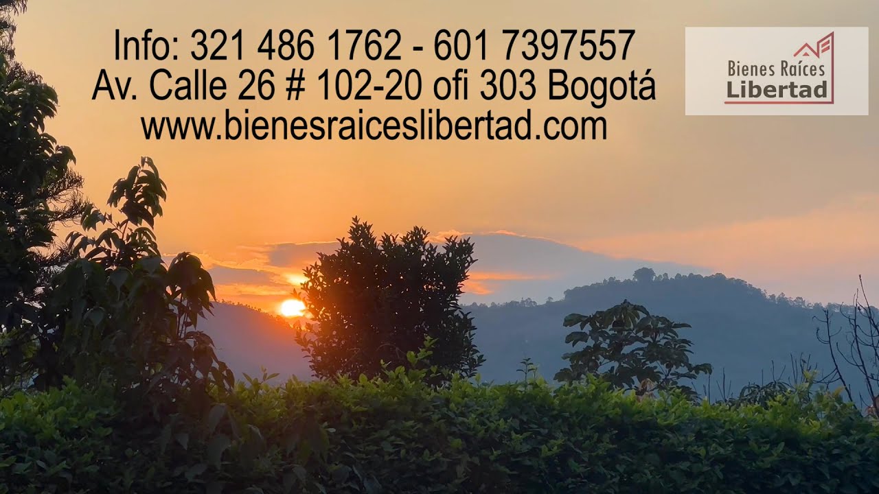 La Vega - Finca de 40 hectáreas en venta 🌿
