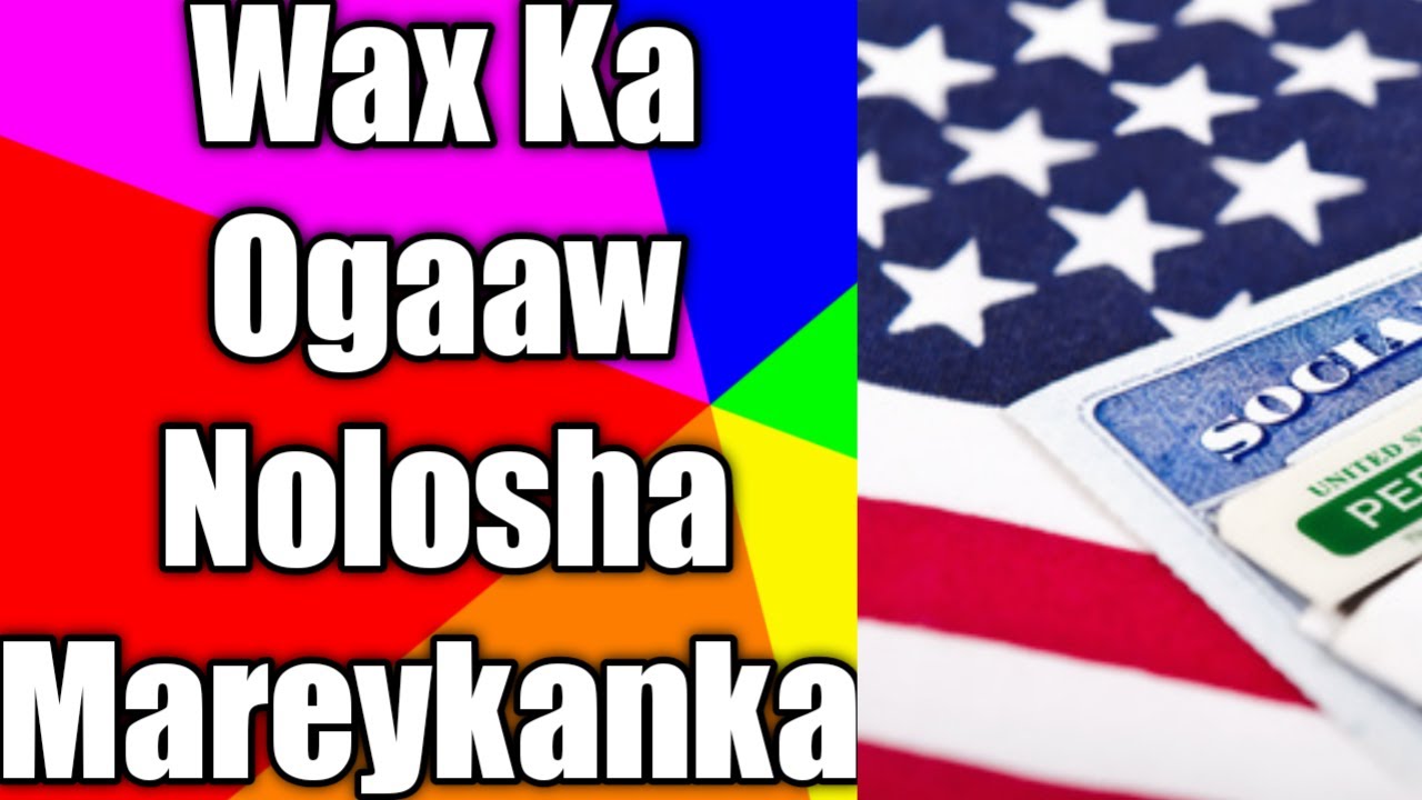 Warbixin Ku Saabsan  Nolosha Maraykanka Io Sida Soomalida Ugu Nool Yihin American Dream #Cq #Taatiko
