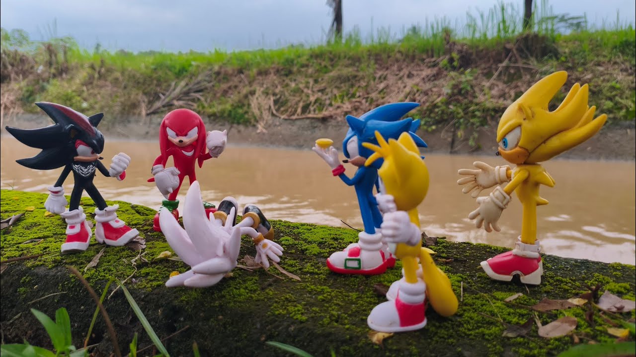 Hunting Sonic The Hedgehog:Sonic/Knuckles/Silver/Shadow/Metal Sonic/Tails/Amy Rose/Egg Man/Robotnic